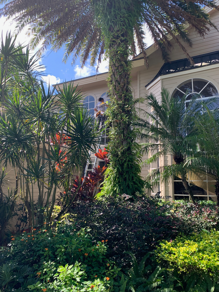 Window Cleaner in Palm City